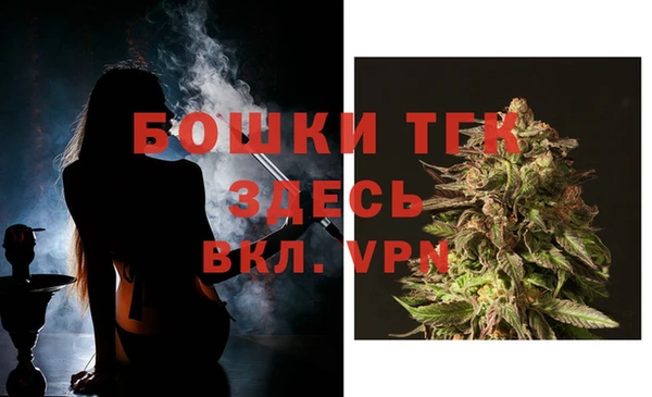 гидра Вязьма