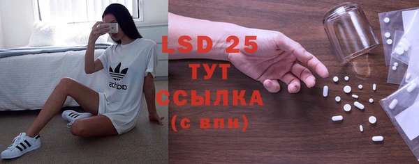 тгк Володарск