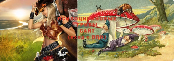 тгк Володарск