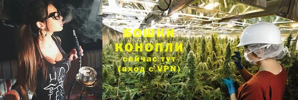 тгк Володарск